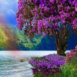 Meet your Posher, Elisa